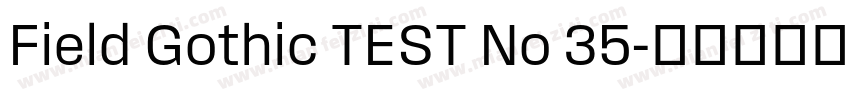Field Gothic TEST No 35字体转换